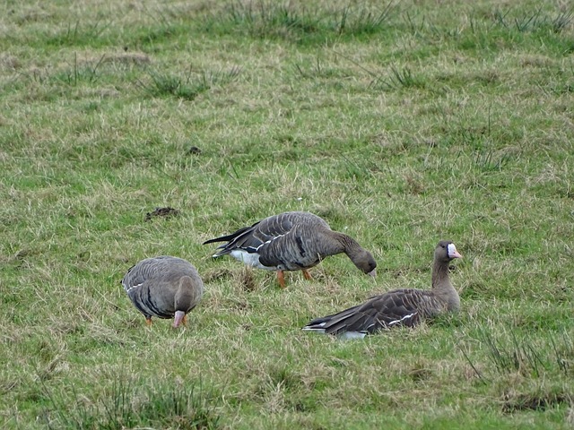 非特大灾害 非特大灾害