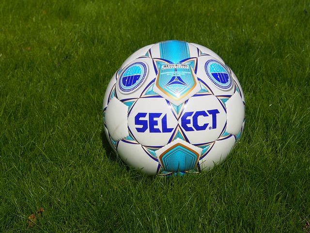 可以预见 可以预见