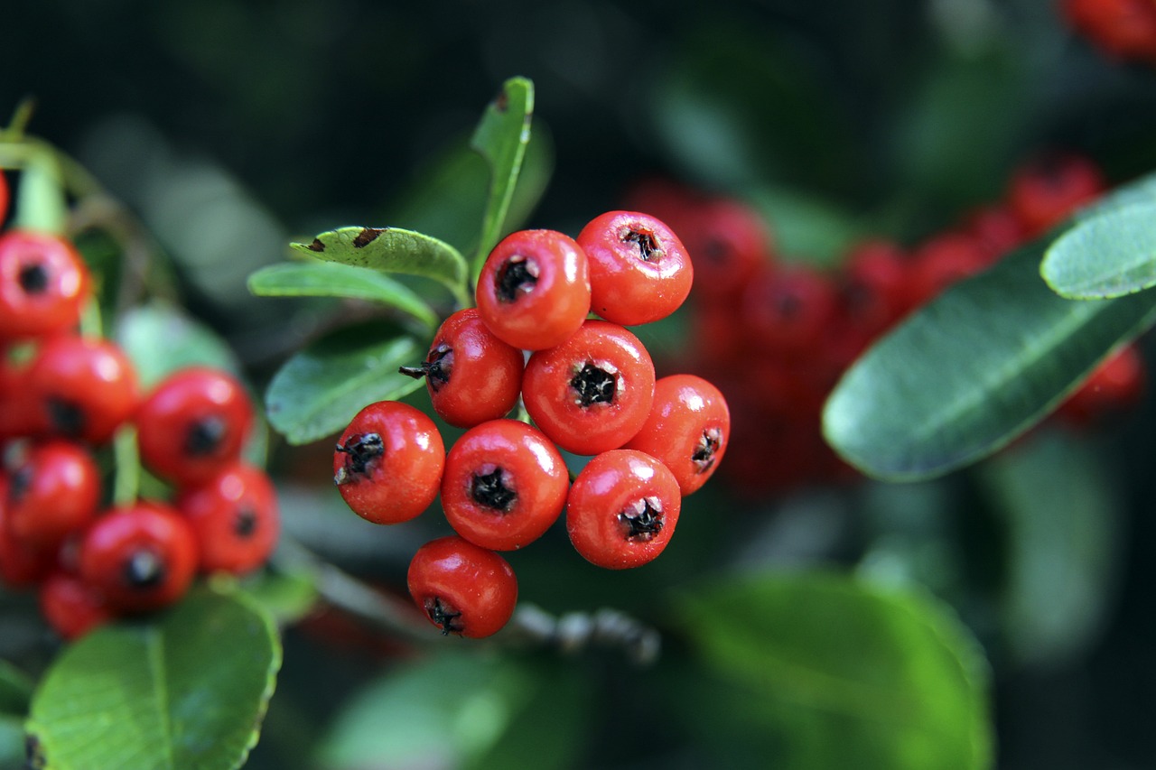 越表現的戲 越表現的戲