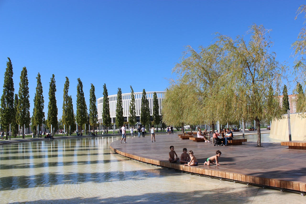 年輕球員合 年輕球員合