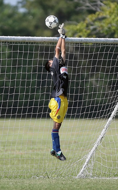 他們的體能 他們的體能